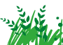 Green Logo